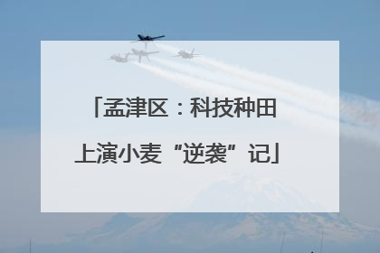 孟津区：科技种田 上演小麦“逆袭”记